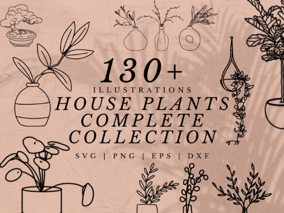 130 House Plant Illustration SVGs